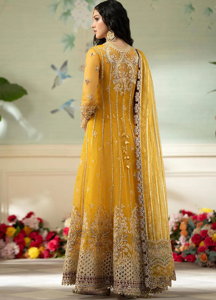 Qalamkar Pret Embroidered Organza 4 Piece Suit DN-4 Kanza