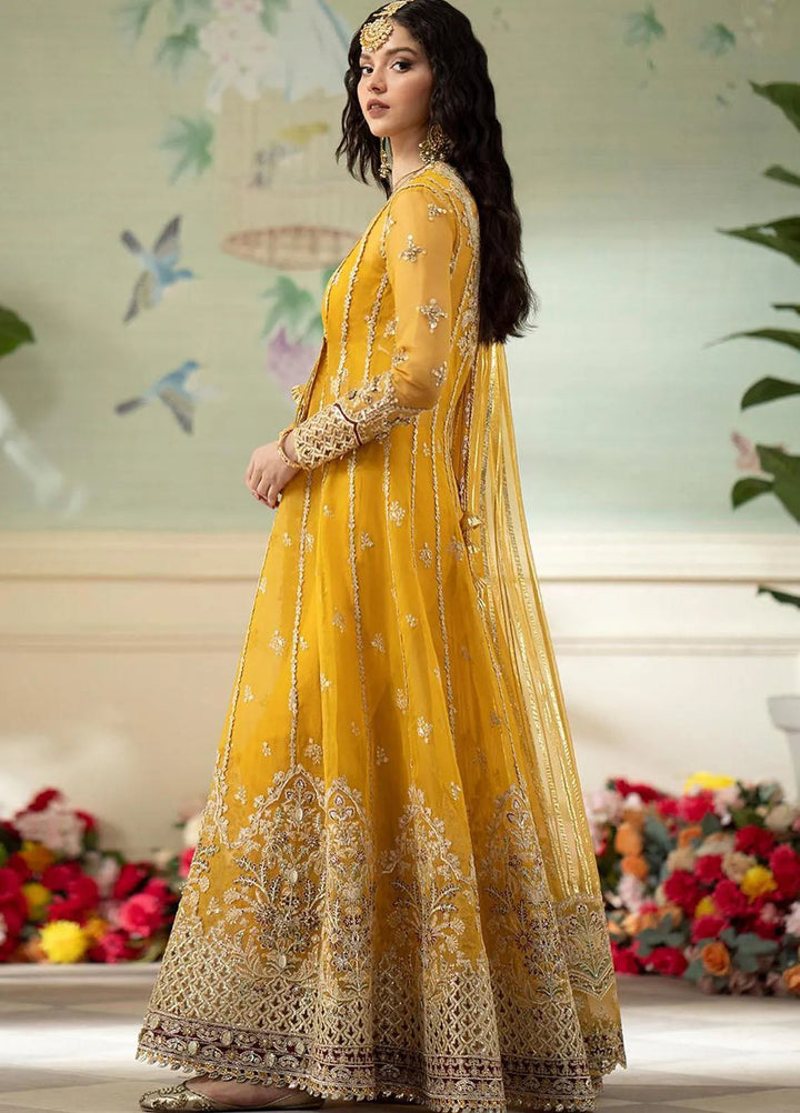 Qalamkar Pret Embroidered Organza 4 Piece Suit DN-4 Kanza