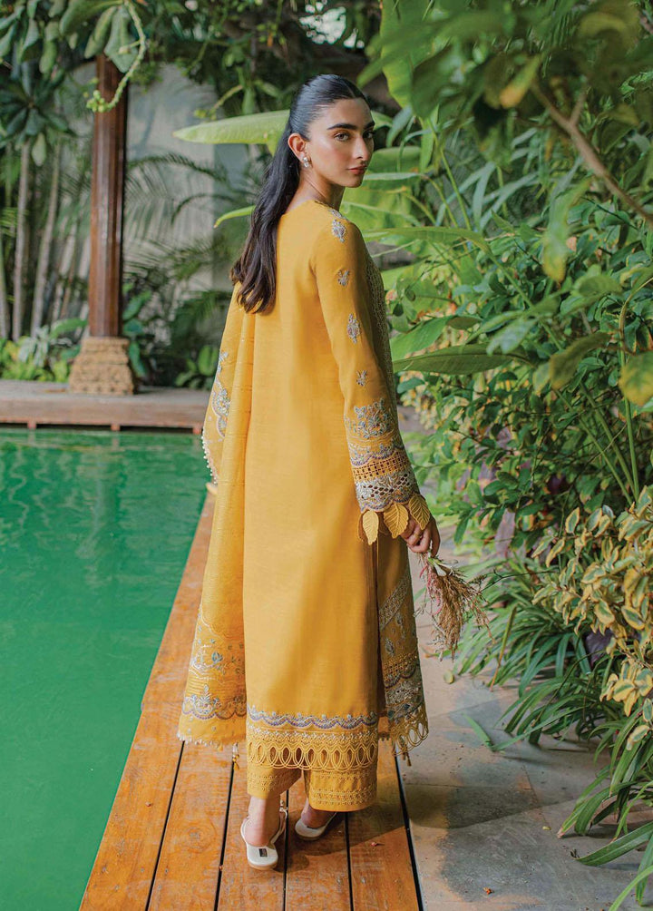 Qline By Qalamkar Embroidered Linen Suits Unstitched 3 Piece QLM23LN WL-09 Valeria - Winter Collection