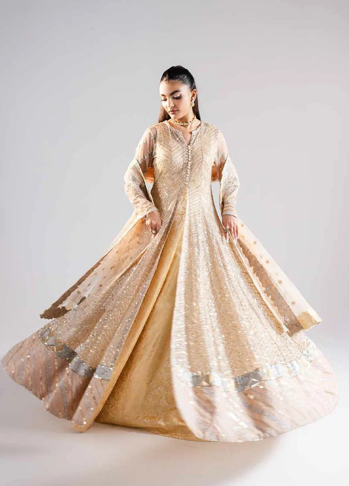 Raah by Maryum N Maria Embroidered Net Suits Unstitched 3 Piece MNM24RU MS-40001 Niya - Formals Collection