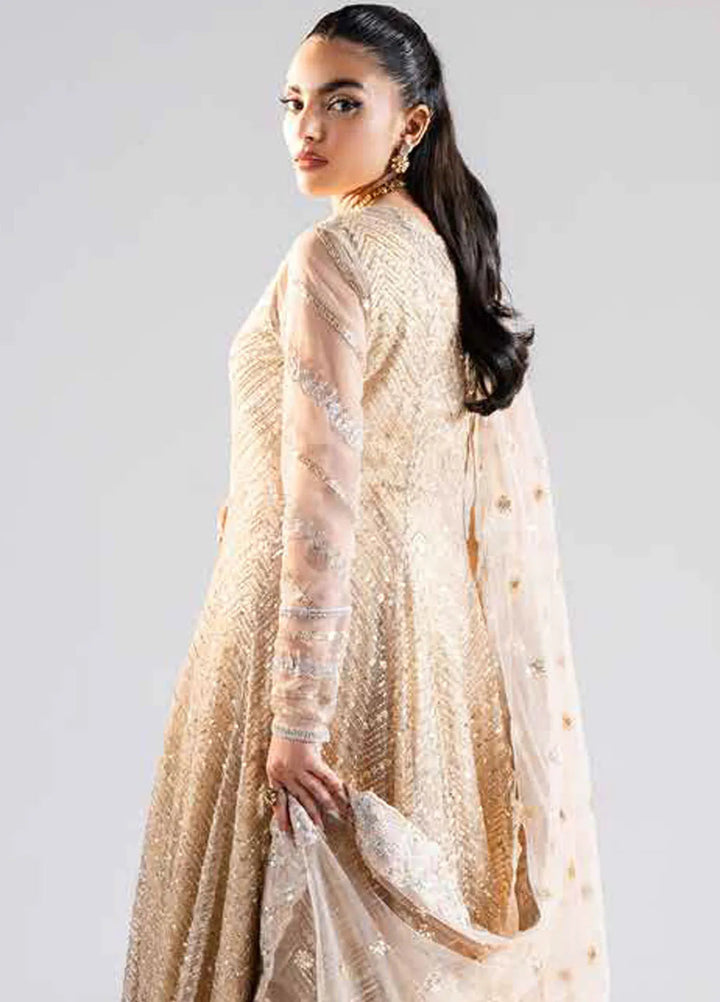 Raah by Maryum N Maria Embroidered Net Suits Unstitched 3 Piece MNM24RU MS-40001 Niya - Formals Collection