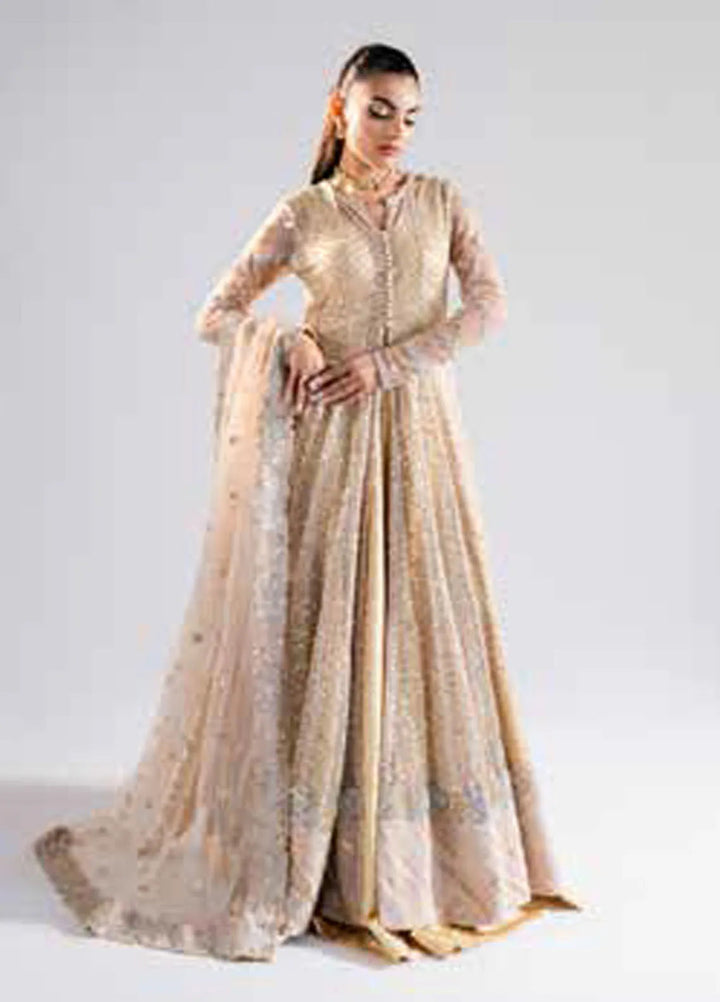 Raah by Maryum N Maria Embroidered Net Suits Unstitched 3 Piece MNM24RU MS-40001 Niya - Formals Collection