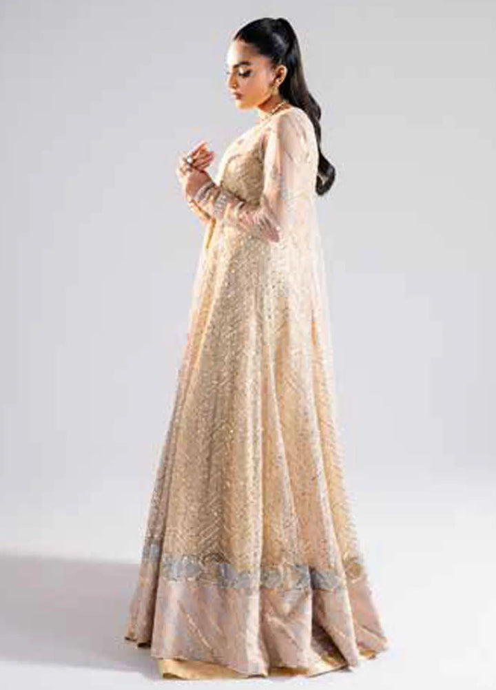 Raah by Maryum N Maria Embroidered Net Suits Unstitched 3 Piece MNM24RU MS-40001 Niya - Formals Collection