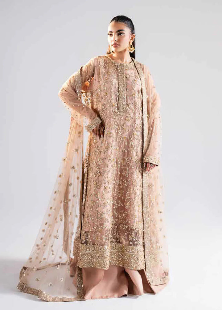 Raah by Maryum N Maria Embroidered Net Suits Unstitched 3 Piece MNM24RU MS-40006 Rachana - Formals Collection