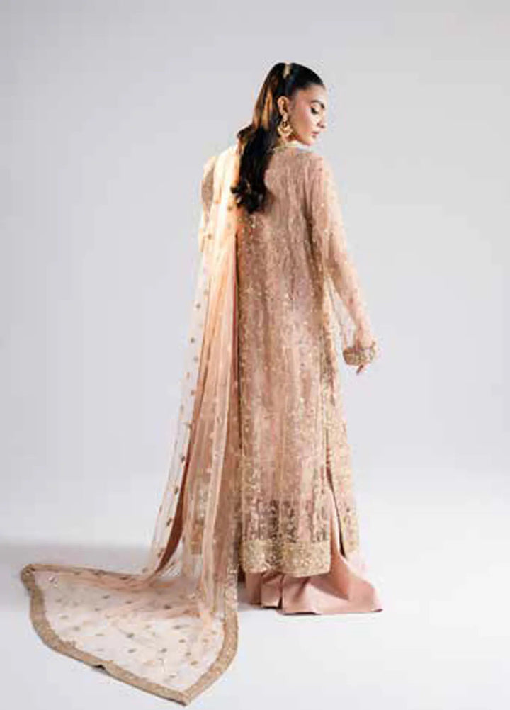 Raah by Maryum N Maria Embroidered Net Suits Unstitched 3 Piece MNM24RU MS-40006 Rachana - Formals Collection