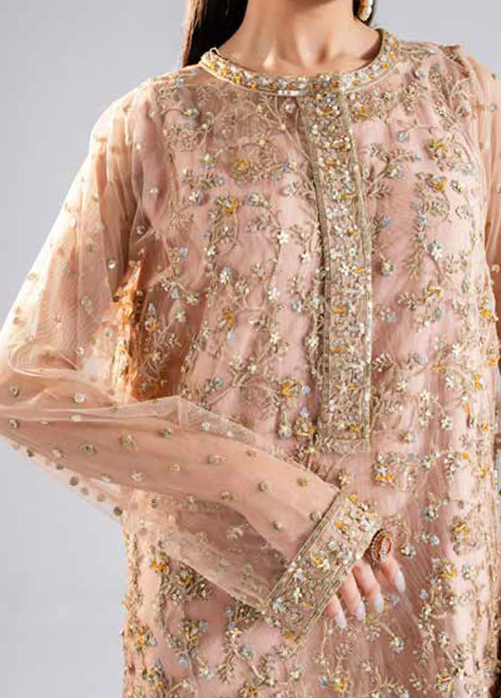 Raah by Maryum N Maria Embroidered Net Suits Unstitched 3 Piece MNM24RU MS-40006 Rachana - Formals Collection