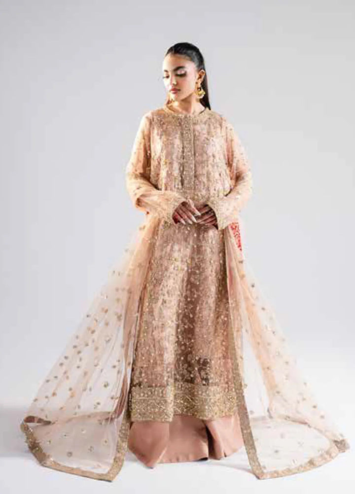 Raah by Maryum N Maria Embroidered Net Suits Unstitched 3 Piece MNM24RU MS-40006 Rachana - Formals Collection