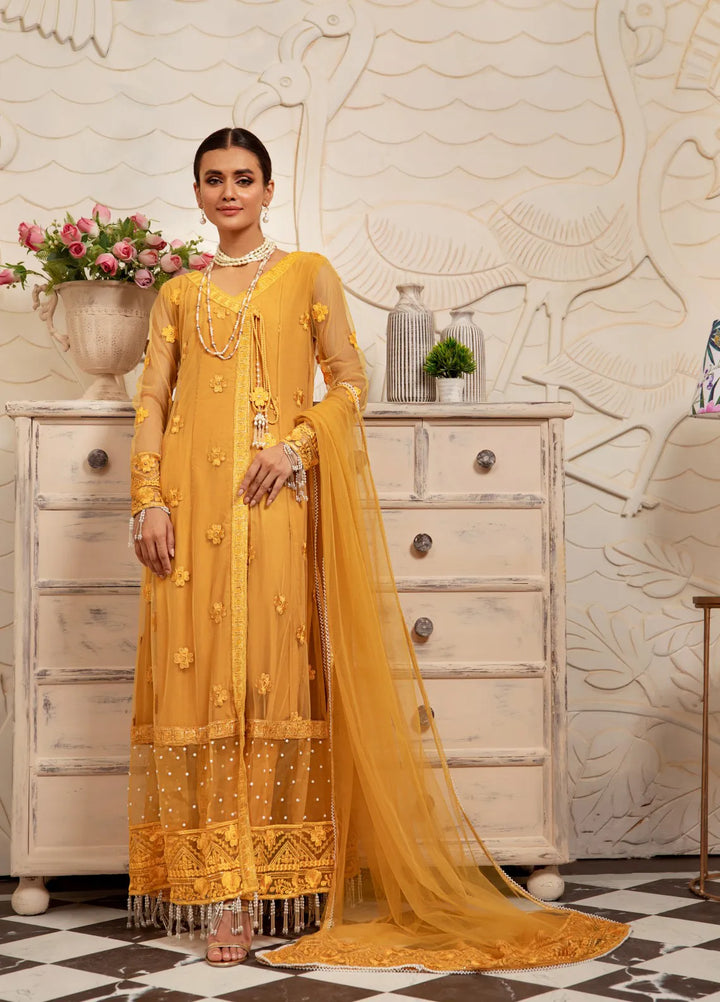 Raas By Pashmire Pret Embroidered Net 3 Piece Suit Zarnish
