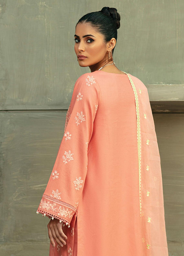 Raaya by Rang Rasiya Embroidered Lawn Suits Unstitched 3 Piece RY22CL D-03 BRADEN - Summer Collection