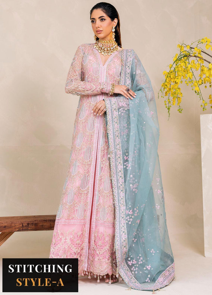 Raha By Muneefa Naz Embroidered Net Suits Unstitched 4 Piece MN23RH Leila - Wedding Collection