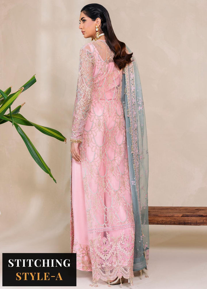 Raha By Muneefa Naz Embroidered Net Suits Unstitched 4 Piece MN23RH Leila - Wedding Collection