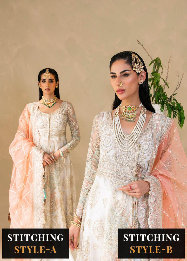 Raha By Muneefa Naz Embroidered Net Suits Unstitched 4 Piece MN23RH Ivory - Wedding Collection