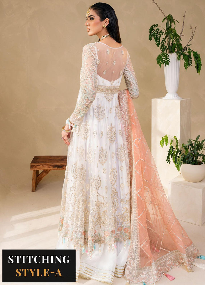 Raha By Muneefa Naz Embroidered Net Suits Unstitched 4 Piece MN23RH Ivory - Wedding Collection