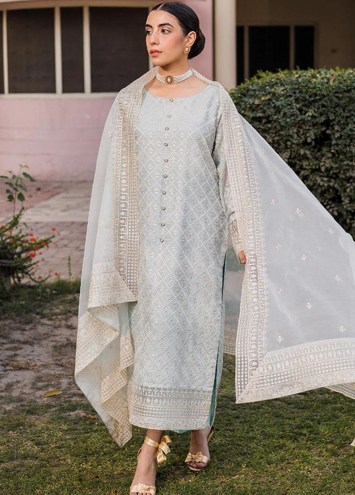 Raha By Muraad Embroidered Cotton Net Suits Unstitched 4 Piece MU23R Rohma - Festive Collection