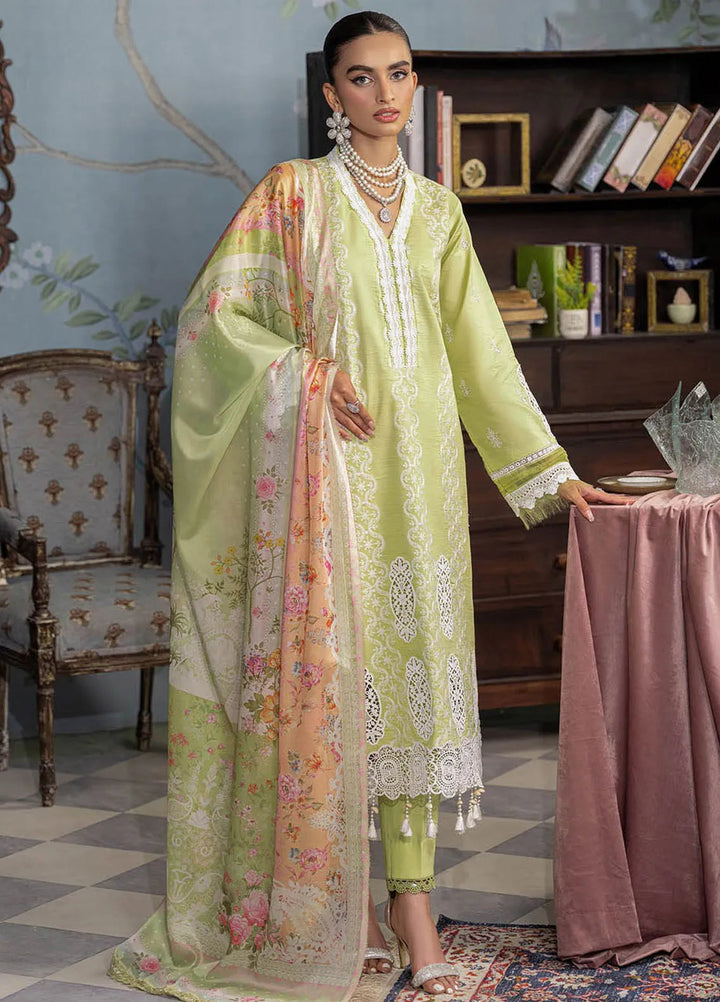 Rajbari Embroidered Chikan Suit Unstitched 3 Piece RB24C D- 11 - Summer Collection