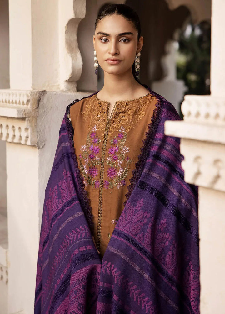 Rajbari Embroidered Khaddar Suit Unstitched 3 Piece RB24W 1B - Winter Collection