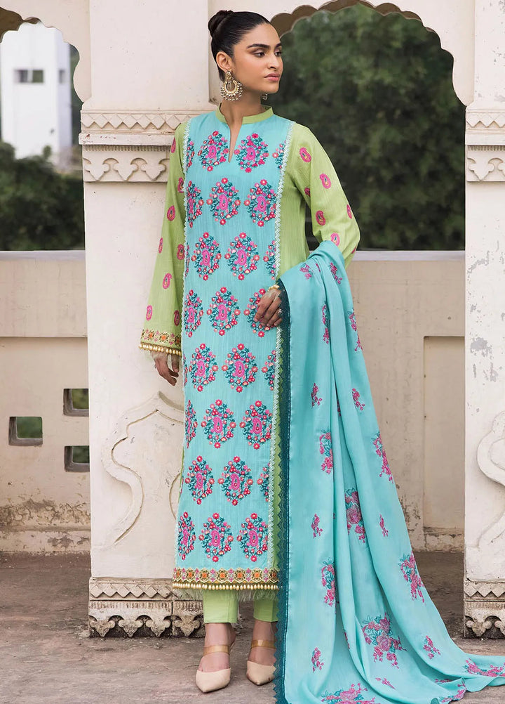 Rajbari Embroidered Khaddar Suit Unstitched 3 Piece RB24W 3B - Winter Collection