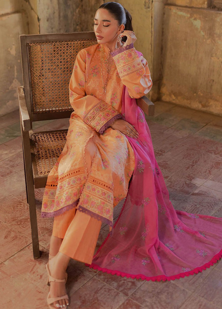 RajBari Embroidered Lawn Suit Unstitched 3 Piece RB24S 2-B - Summer Collection