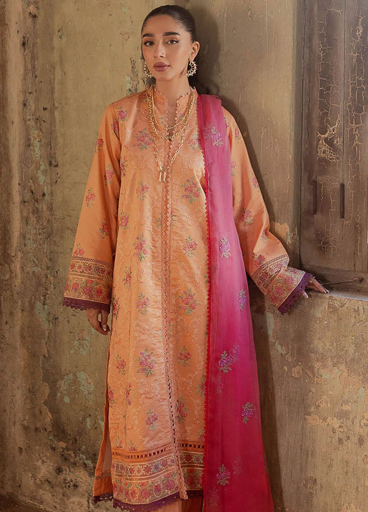 RajBari Embroidered Lawn Suit Unstitched 3 Piece RB24S 2-B - Summer Collection