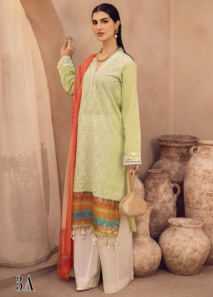 RajBari Embroidered Chikankari Suits Unstitched 3 Piece RB23CK 3A - Premium Collection