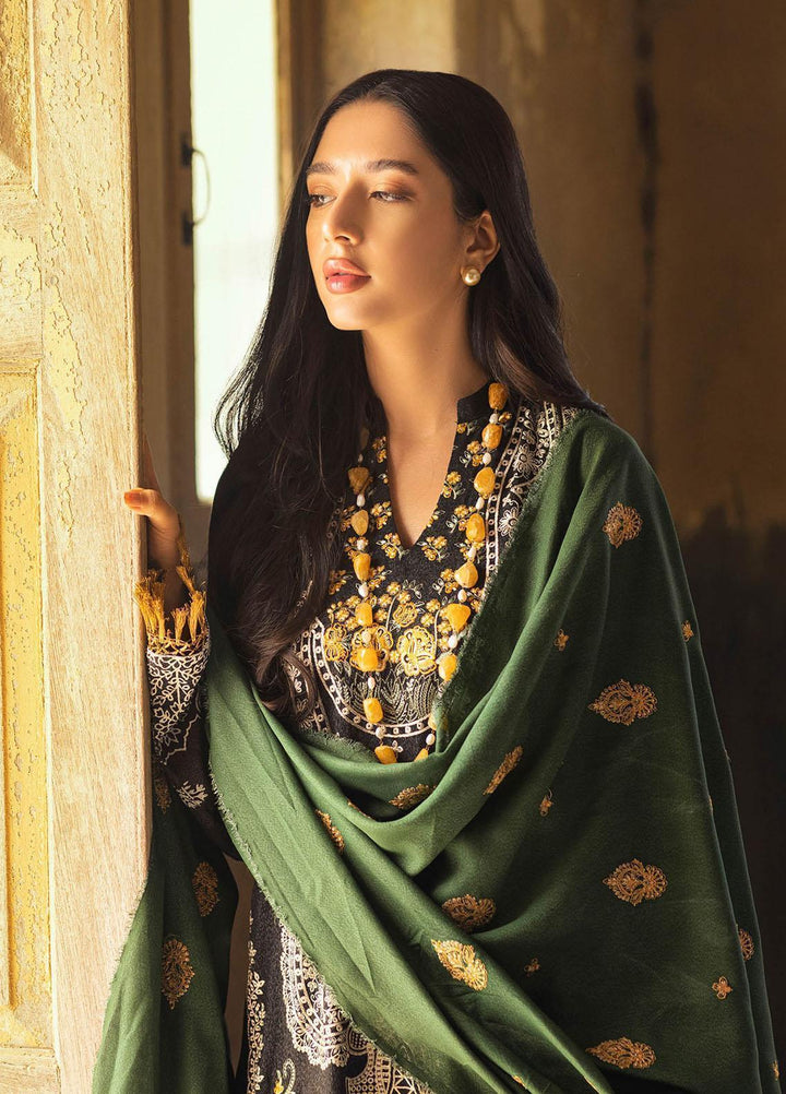 RajBari Embroidered Karandi Suits Unstitched 3 Piece RB22WE 4A - Winter Collection
