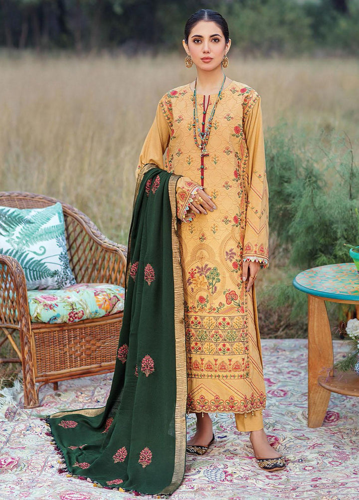 RajBari Embroidered Karandi Suits Unstitched 3 Piece RB21W 1B - Winter Collection