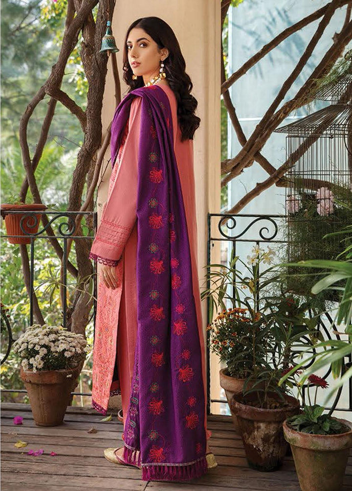 RajBari Embroidered Karandi Suits Unstitched 3 Piece RB21W 6A - Winter Collection