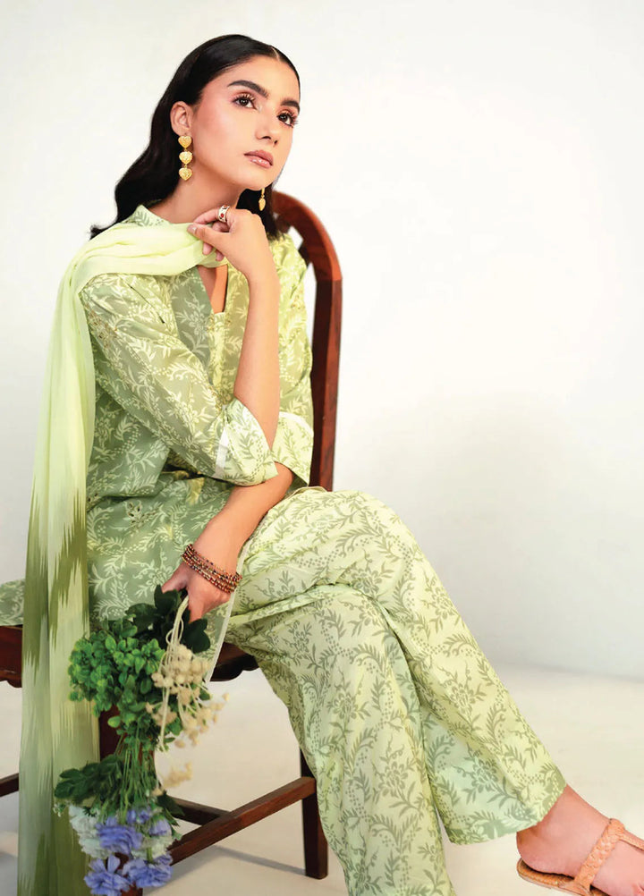 Rang e Bahar by Humdum Embroidered Lawn Suits Unstitched 3 Piece HD25RB D-09 - Summer Collection