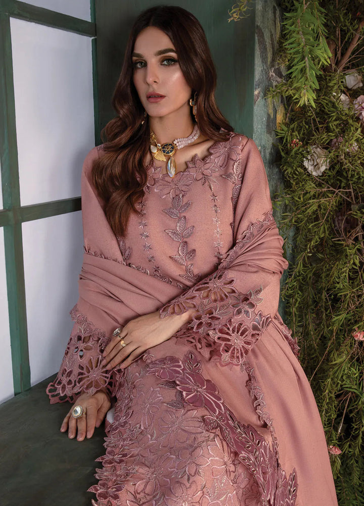 Rang Rasiya Embroidered Karandi Suit Unstitched 3 Piece D-11 Chai - Winter Collection