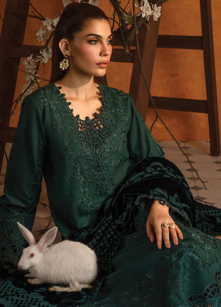 Rang Rasiya Embroidered Khaddar Suit Unstitched 3 Piece D-05 Affogato - Winter Collection