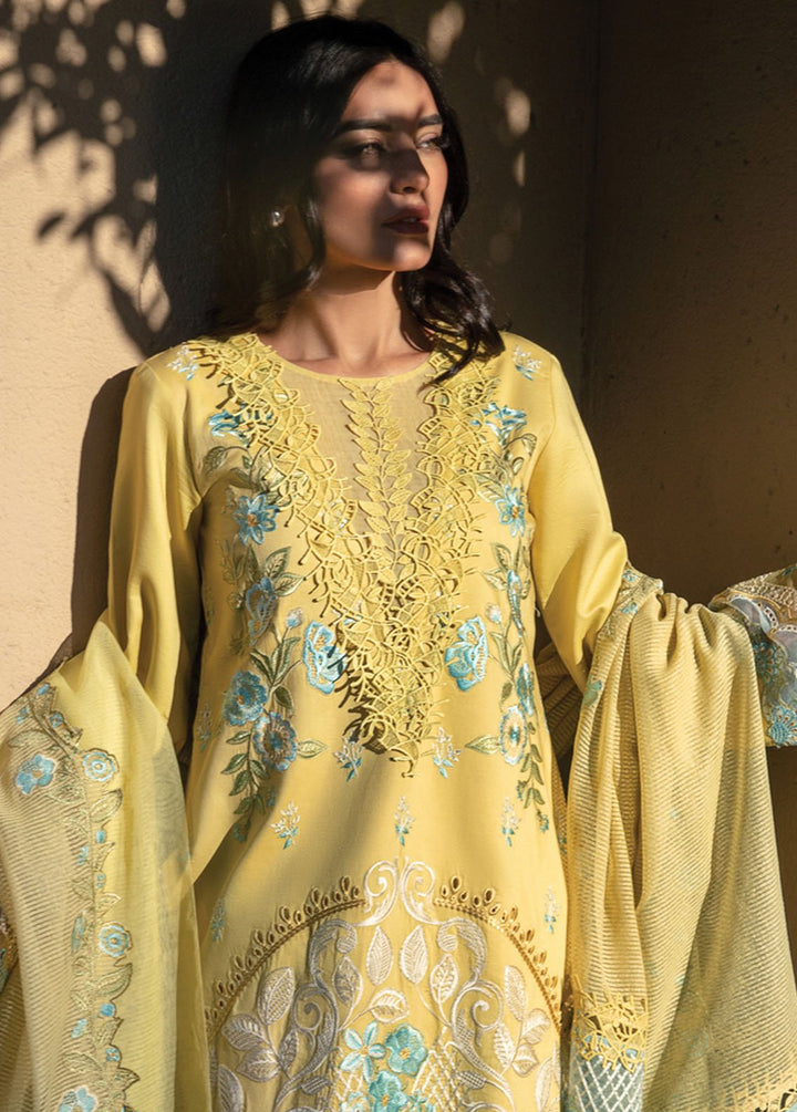 Rang Rasiya Embroidered Lawn Suits Unstitched 3 Piece RR24PS D-01 Amani - Summer Collection