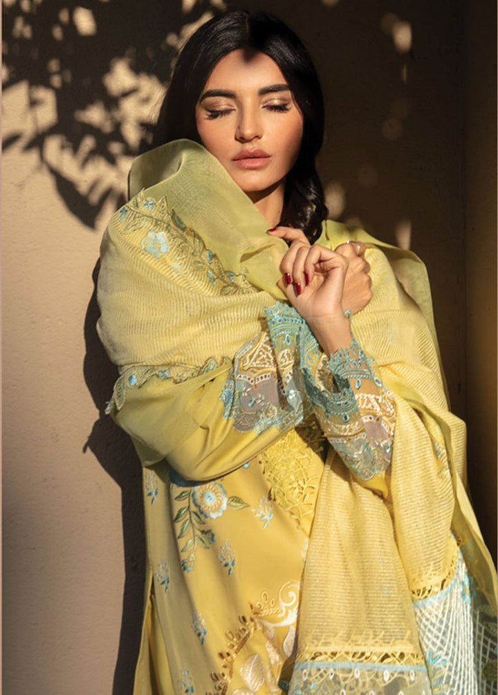 Rang Rasiya Embroidered Lawn Suits Unstitched 3 Piece RR24PS D-01 Amani - Summer Collection