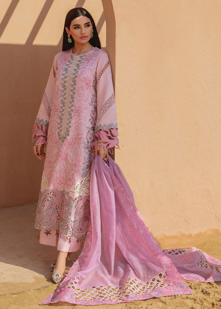 Rang Rasiya Embroidered Lawn Suits Unstitched 3 Piece RR24PS D-12 Ayleen - Summer Collection