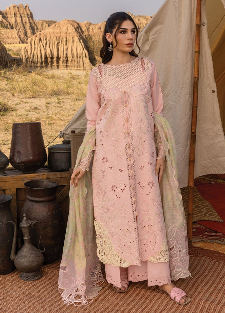 Rang Rasiya Embroidered Lawn Suits Unstitched 3 Piece RR25PE D-01 Nehal - Eid Collection