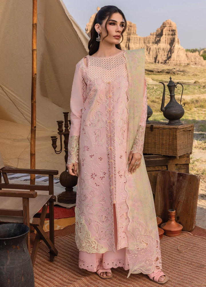 Rang Rasiya Embroidered Lawn Suits Unstitched 3 Piece RR25PE D-01 Nehal - Eid Collection