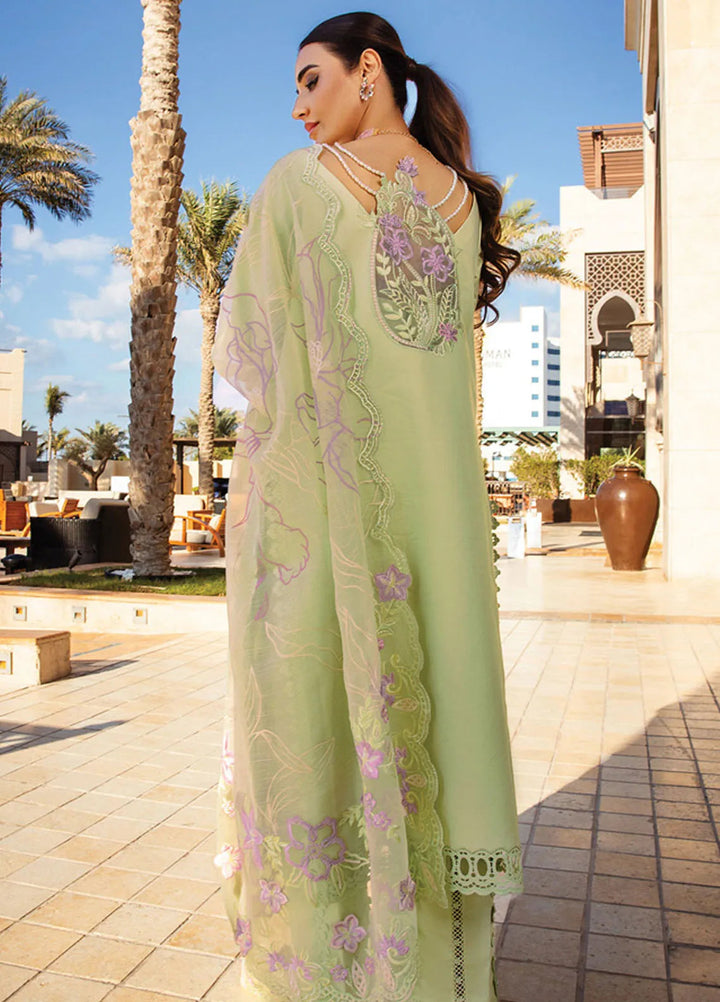 Rang Rasiya Embroidered Lawn Suits Unstitched 3 Piece RR25PS D-03 Elaheh - Summer Collection