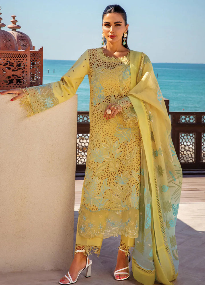 Rang Rasiya Embroidered Lawn Suits Unstitched 3 Piece RR25PS D-05 Minaal - Summer Collection