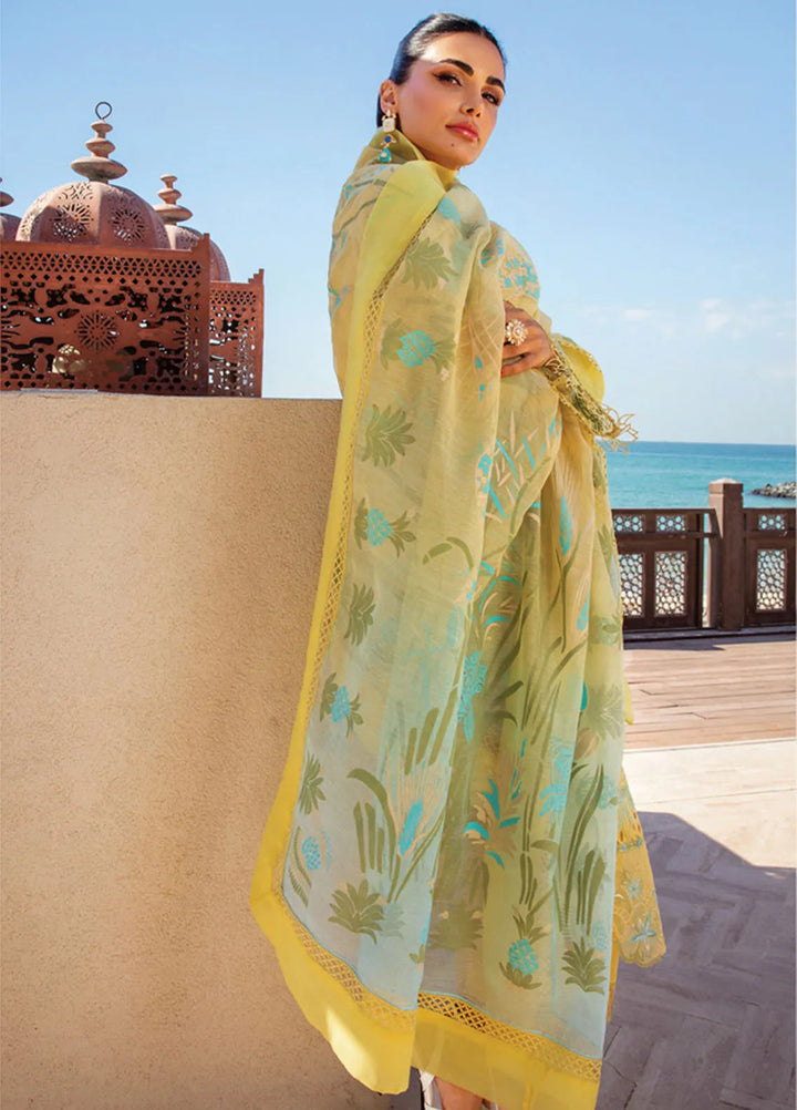 Rang Rasiya Embroidered Lawn Suits Unstitched 3 Piece RR25PS D-05 Minaal - Summer Collection