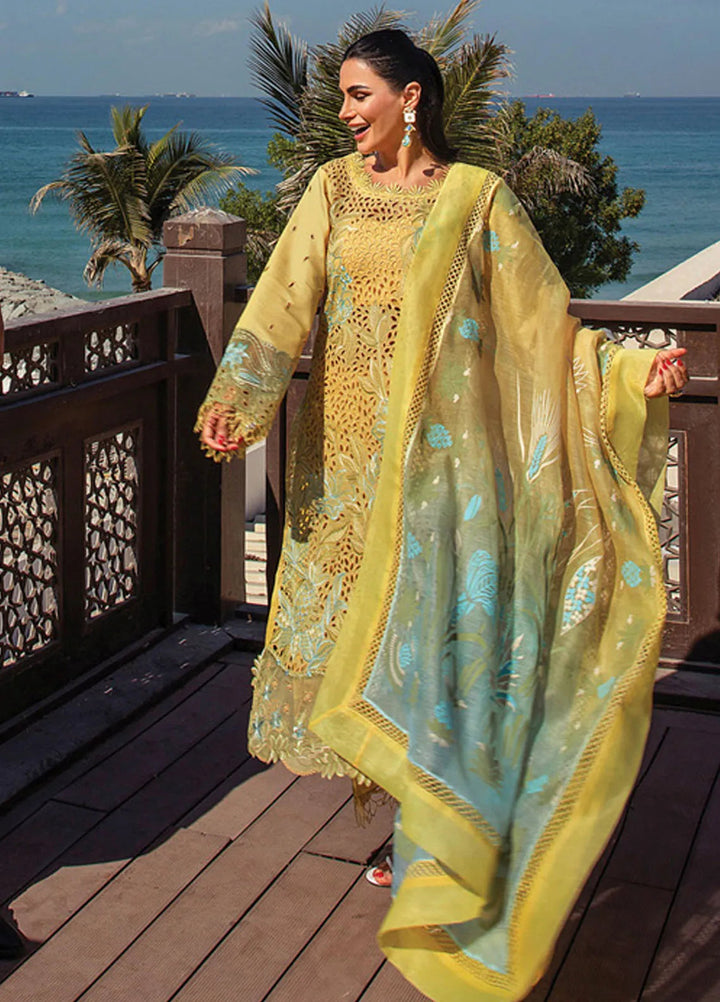 Rang Rasiya Embroidered Lawn Suits Unstitched 3 Piece RR25PS D-05 Minaal - Summer Collection