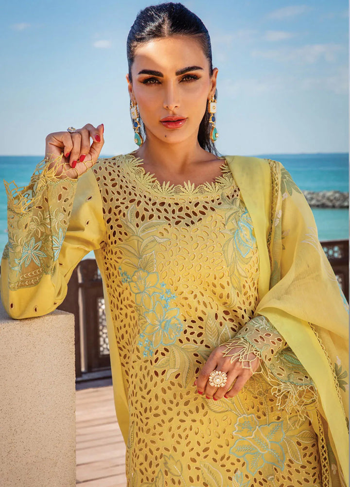 Rang Rasiya Embroidered Lawn Suits Unstitched 3 Piece RR25PS D-05 Minaal - Summer Collection