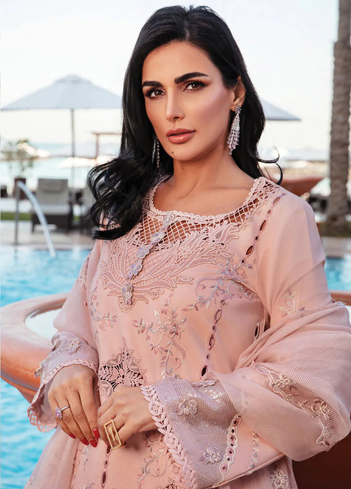 Rang Rasiya Embroidered Lawn Suits Unstitched 3 Piece RR25PS D-06 Amani - Summer Collection