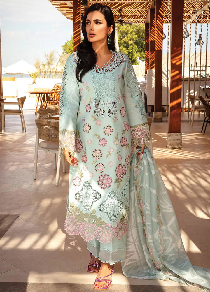 Rang Rasiya Embroidered Lawn Suits Unstitched 3 Piece RR25PS D-09 Mahsa - Summer Collection