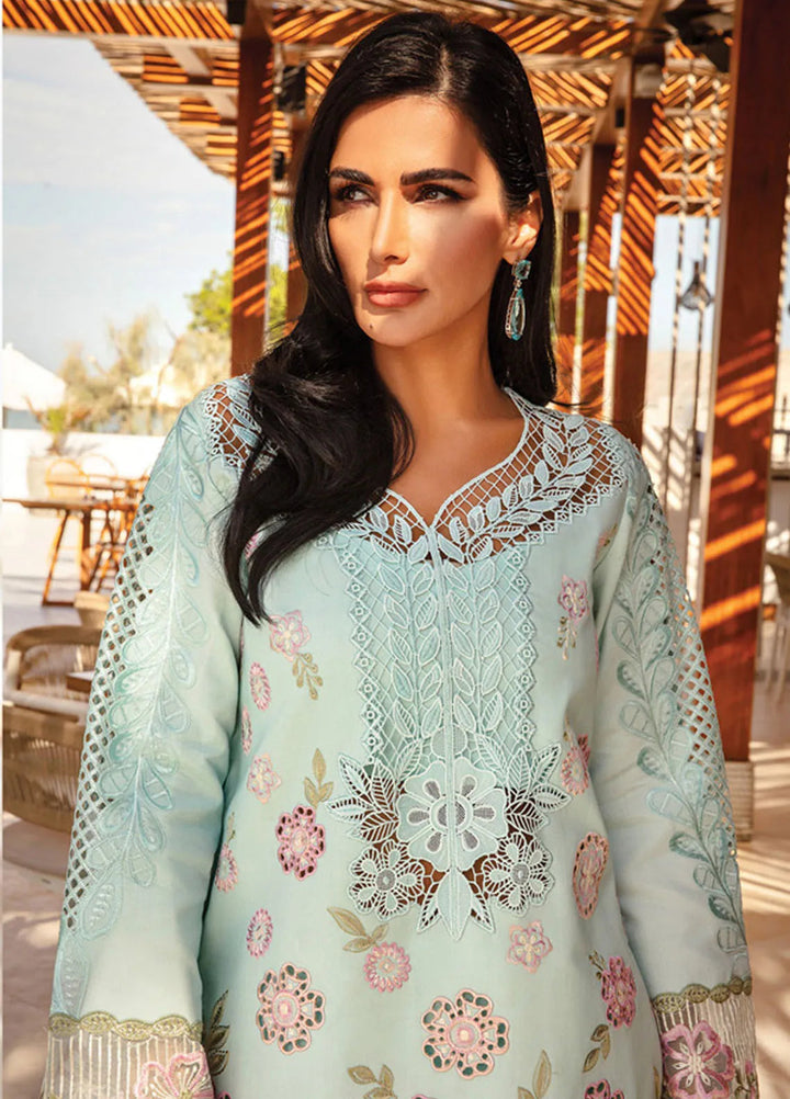 Rang Rasiya Embroidered Lawn Suits Unstitched 3 Piece RR25PS D-09 Mahsa - Summer Collection