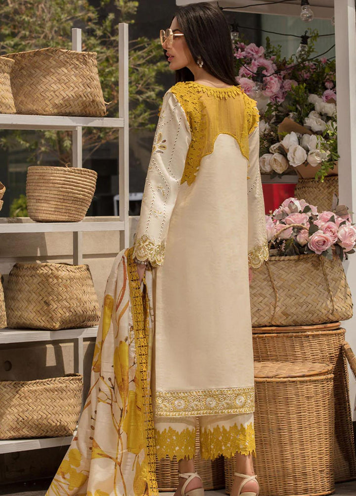 Rang Rasiya Embroidered Lawn Suits Unstitched 3 Piece RR23C Amani - Festive Collection