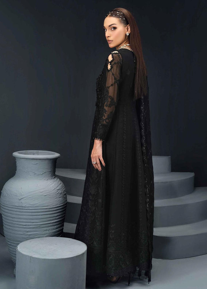 Reena By Alizeh Fashion Embroidered Chiffon Suits Unstitched 3 Piece AFB24R D-05 Zohreh - Luxury Collection