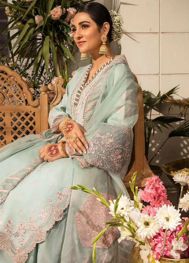 Rehmat By Rang Rasiya Embroidered Lawn Suits Unstitched 3 Piece RR23RL D-03 Amyra - Luxury Eid Collection