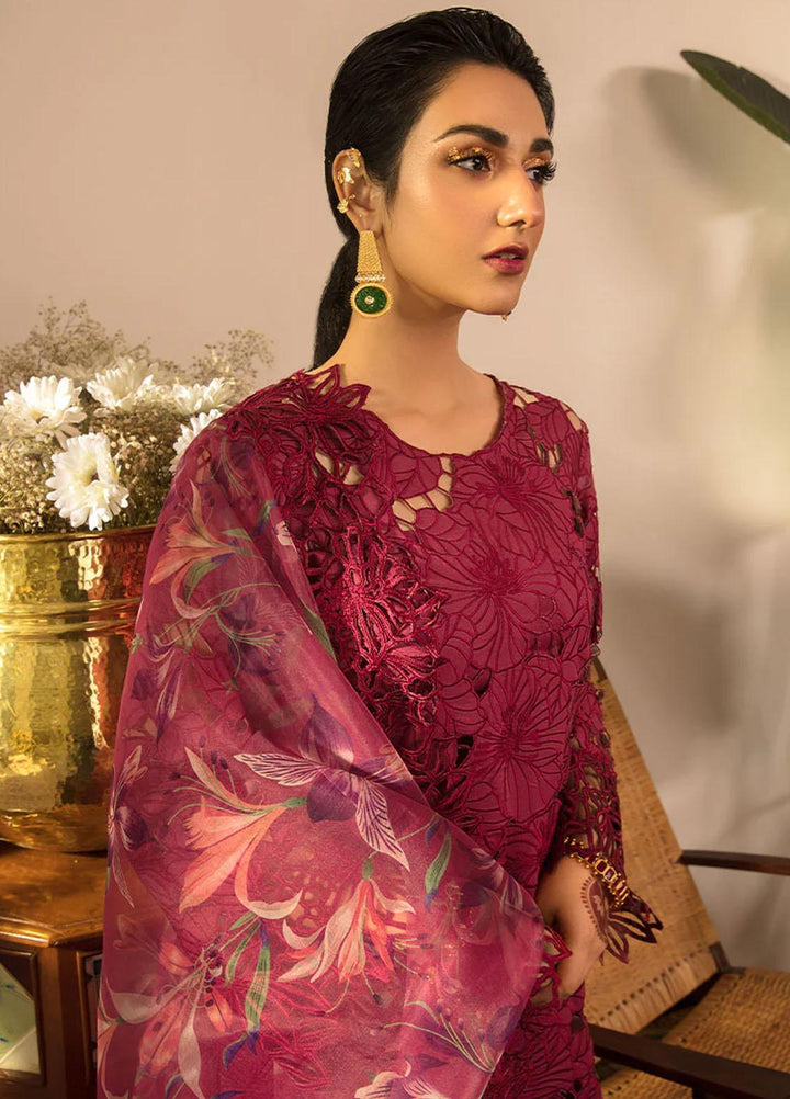 Rehmat By Rang Rasiya Embroidered Lawn Suits Unstitched 3 Piece RR23RL D-08 Aysel - Luxury Eid Collection