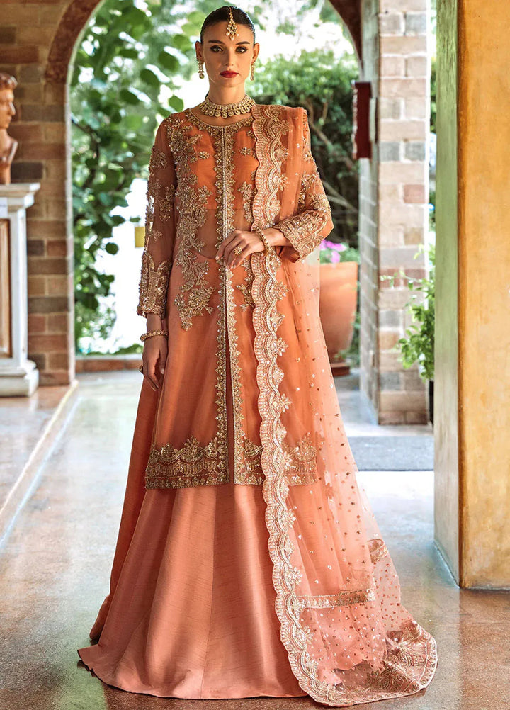 Riwayat by Maryum N Maria Embroidered Net Suits Unstitched 3 Piece MNM24RW Amanthi MW24-552 - Formal Collection