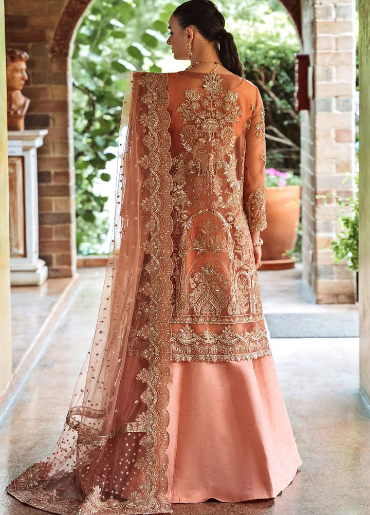 Riwayat by Maryum N Maria Embroidered Net Suits Unstitched 3 Piece MNM24RW Amanthi MW24-552 - Formal Collection