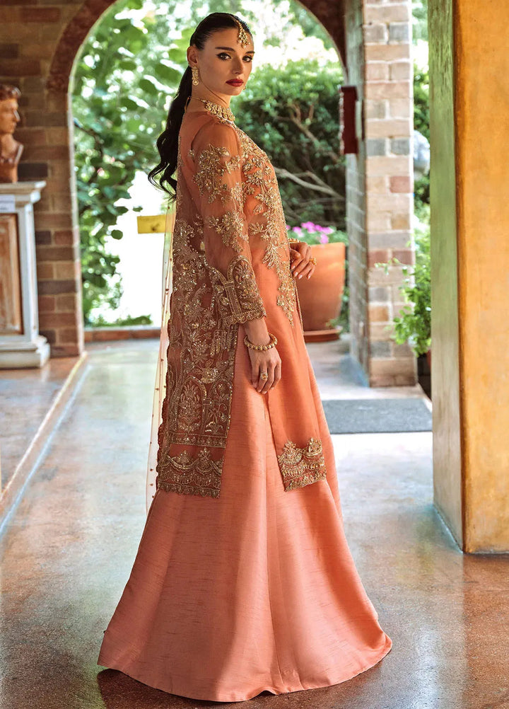 Riwayat by Maryum N Maria Embroidered Net Suits Unstitched 3 Piece MNM24RW Amanthi MW24-552 - Formal Collection